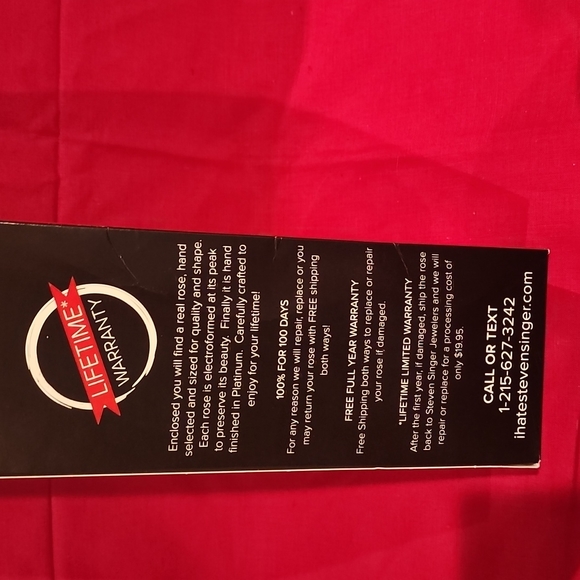 Steven Singer Real Pink Rose Preserved and Dipped in Platinum - Picture 10 of 14